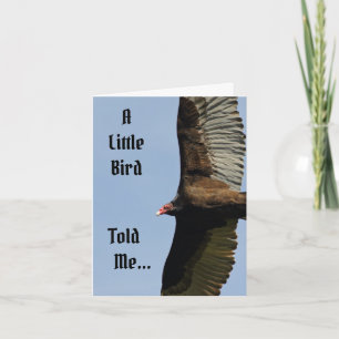Cartão Little Bird Happy Birthday Card With Vulture