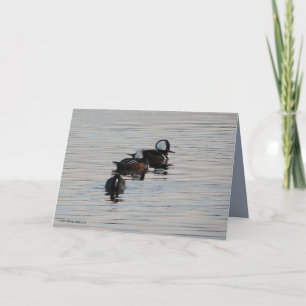 Cartão Little Divers