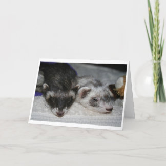 Cartão Little Dooks Sleepers Greetings Cards