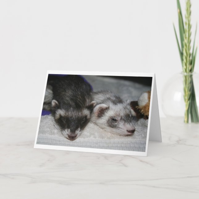 Cartão Little Dooks Sleepers Greetings Cards (Frente)