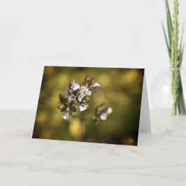 Cartão Little Flowers [Greeting Card]