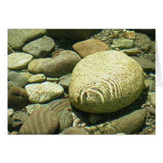 Cartão Little N. Fork Santiam Rio perto de Salem Oregon