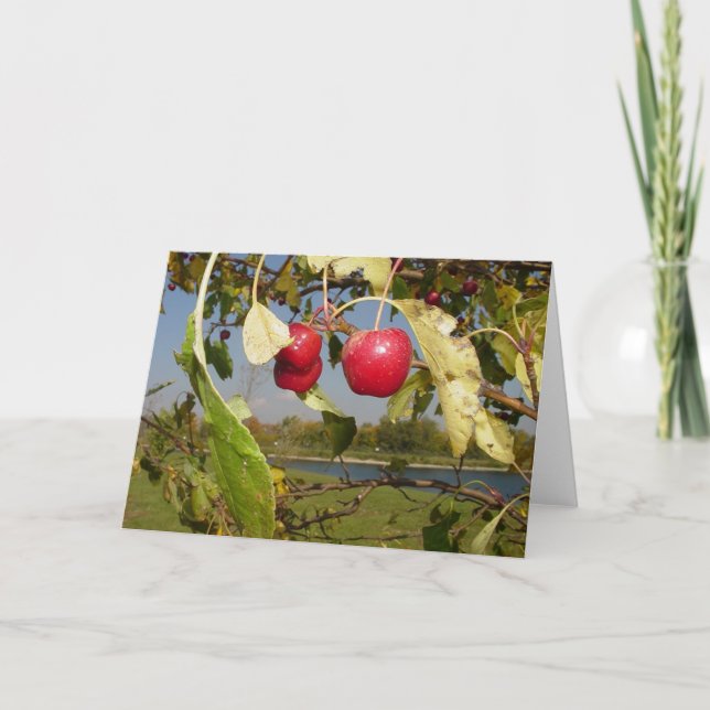 Cartão Little Red Apples greeting card (Frente)