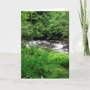 Cartão Little Sandy River And Ferns