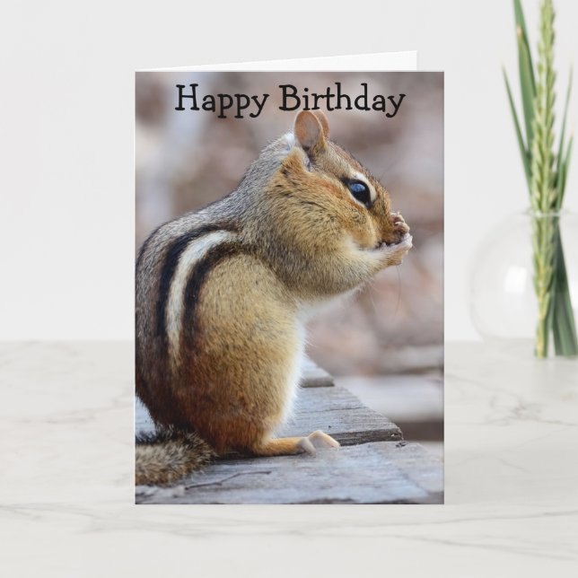 Cartão Little Stinker Chipmunk Birthday (Frente)