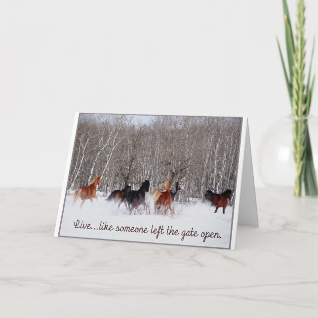Cartão Live Life.....Like someone left the gate open! (Frente)