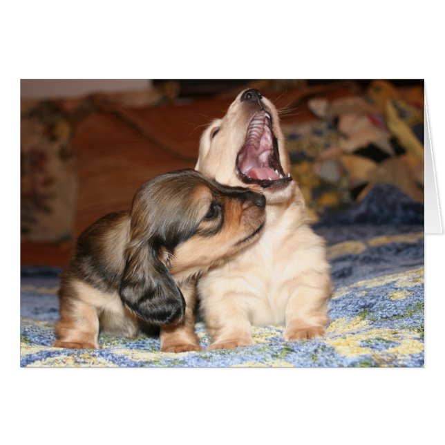 Cartão Live, Ria, Amor (Frente Horizontal)