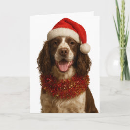 Cartão Liver and white Springer Spaniel Christmas card