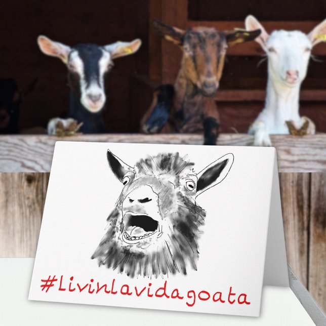 Cartão Livin La Vida Goata Funny Screaming Goat Animal (Funny screaming goat quote livin la Vida goata fun greetings card)