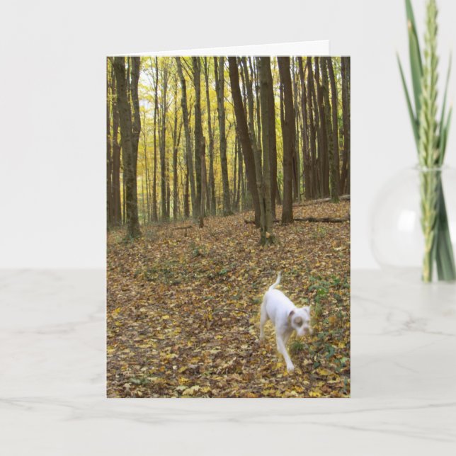 Cartão Livre para Executar (Frente)