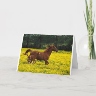 Cartão Livre Running