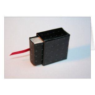 Cartão Livro do artista miniatura com sua caixa