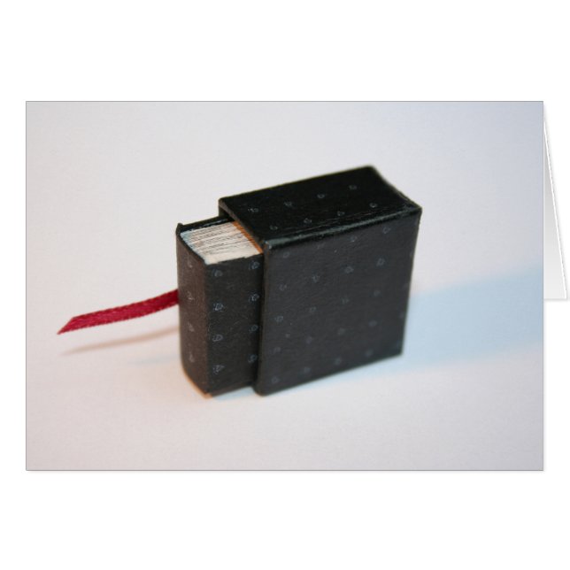 Cartão Livro do artista miniatura com sua caixa (Frente Horizontal)