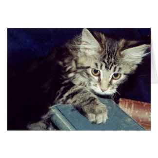 Cartão Livros e gatos