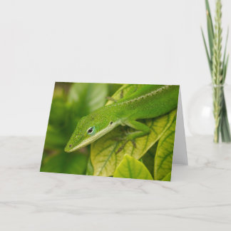 Cartão Lizard GC 001