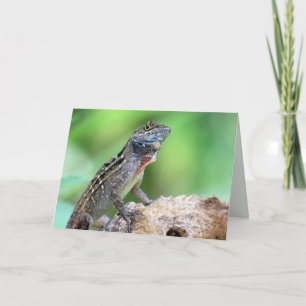 Cartão Lizard (Marrom Anole) (6891) - Vazio