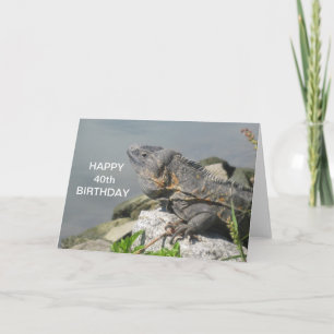 Cartão Lizard On A Rock Happy Birthday Card
