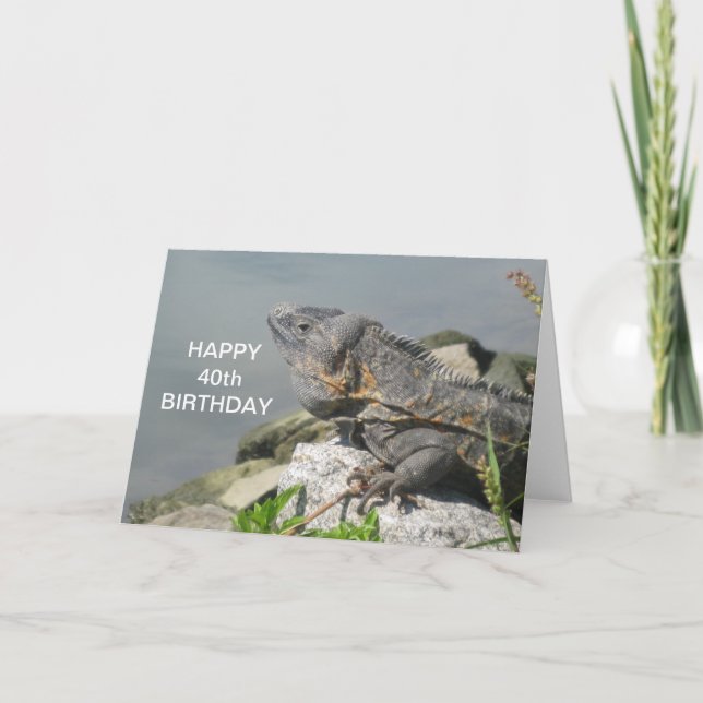 Cartão Lizard On A Rock Happy Birthday Card (Frente)