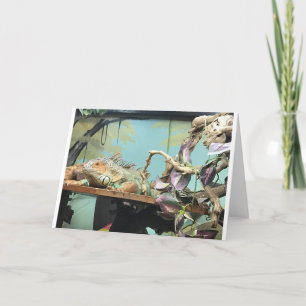 CARTÃO LIZARDS DIZEM "CONTE-ME EM" AO CELEBRAR ANIVERSÁRI