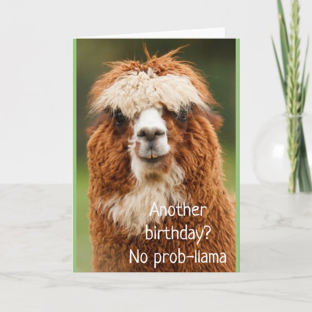 Cartão Llama Alpaca No Probllama Birthday Card (Frente)