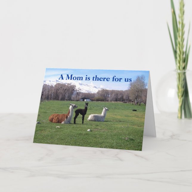 Cartão Llama e jovem (Frente)