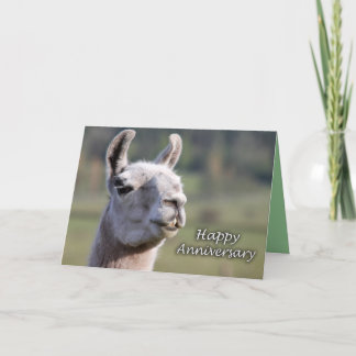 Cartão Llama Happy Anniversary |Happy Anniversary llama