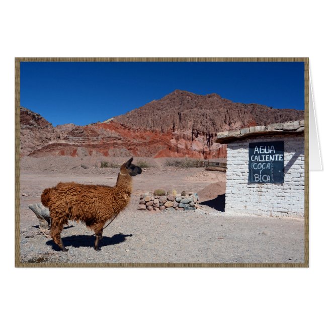 Cartão Llama no Quebrada de Cafayate, Argentina (Frente Horizontal)