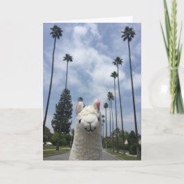 Cartão Llama With No Drama Greeting Card