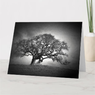 CARTÃO LOAN OAK TREE