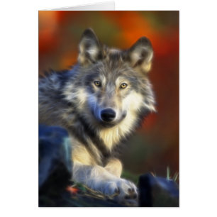Cartão Lobo cinzento, fotografia de Digitas da espécie e