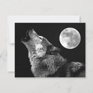 Cartão Lobo Solitário Uivando para a Lua