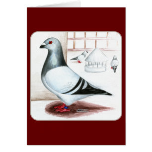 Cartão Local gigante 1973