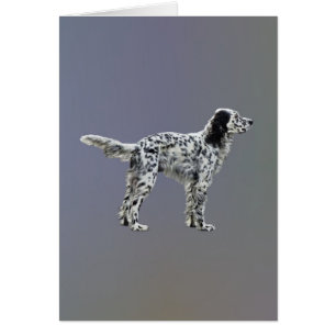 Cartão Loewellin Setter