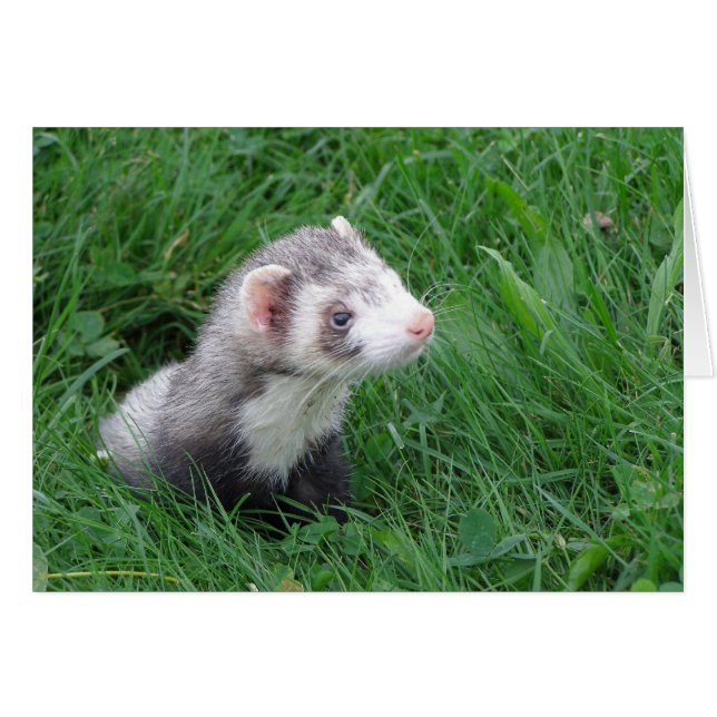 Cartão Logan (Frente Horizontal)