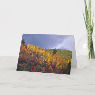 Cartão Logan Canyon in Utah in autumn with passing