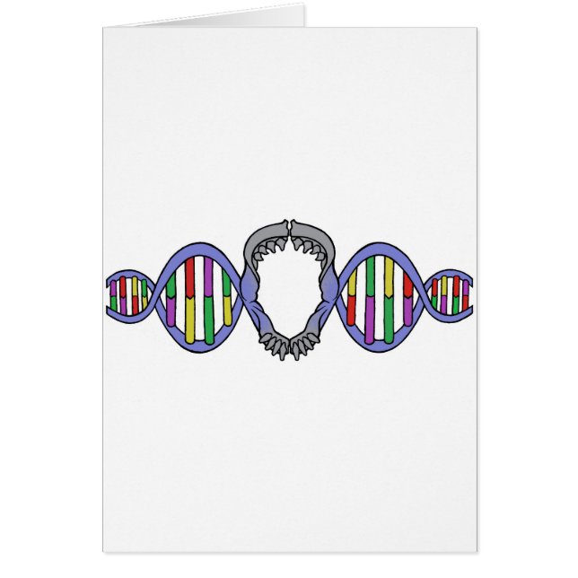 Cartão Logotipo do campo de jogos de Darwin (Frente)