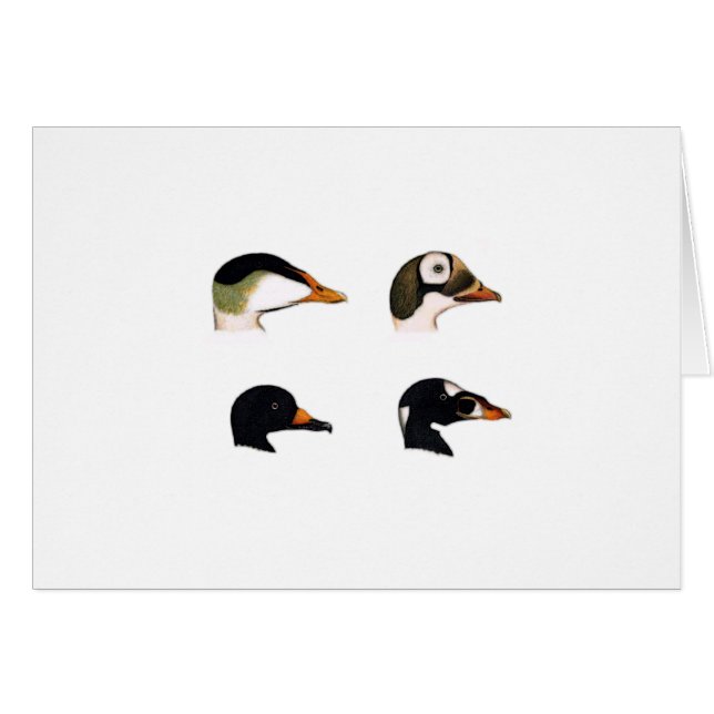 Cartão Logotipo dos patos de mar (Frente Horizontal)