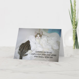 Cartão LOL Cat card