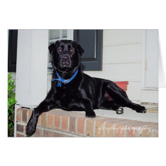 Cartão Lola, fotografia gloriosa do dia