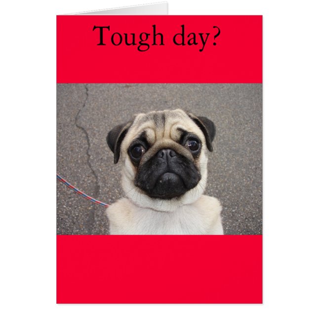 Cartão Lola sente sua dor (Frente)