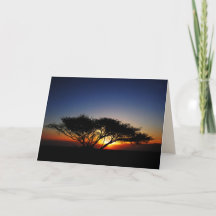 Lone Acacia no Fiery Red Sunrise, Vazio