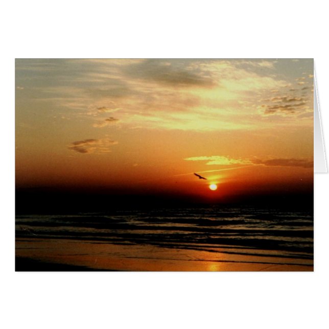 Cartão Lone Bird (Frente Horizontal)