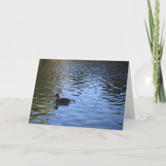Cartão Lone Duck Note Card - Blank Inside