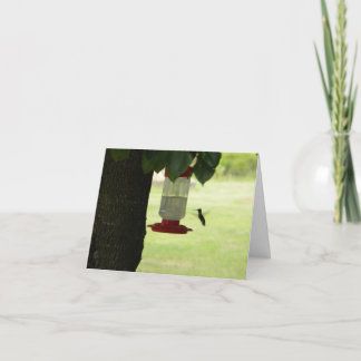 Cartão Lone Hummingbird