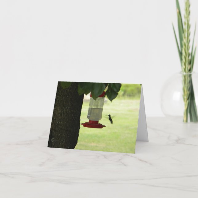 Cartão Lone Hummingbird (Frente)