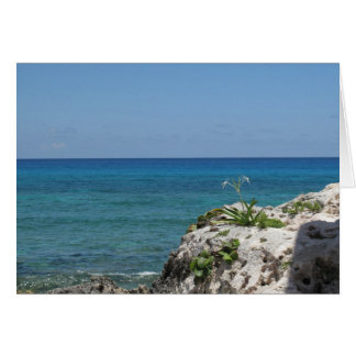 Cartão Lone Lily perto do mar