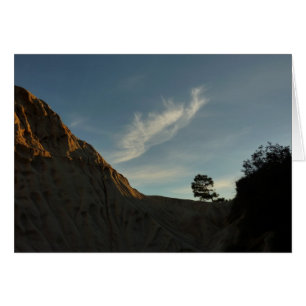 Cartão Lone Torrey Pine California Sunset Landscape
