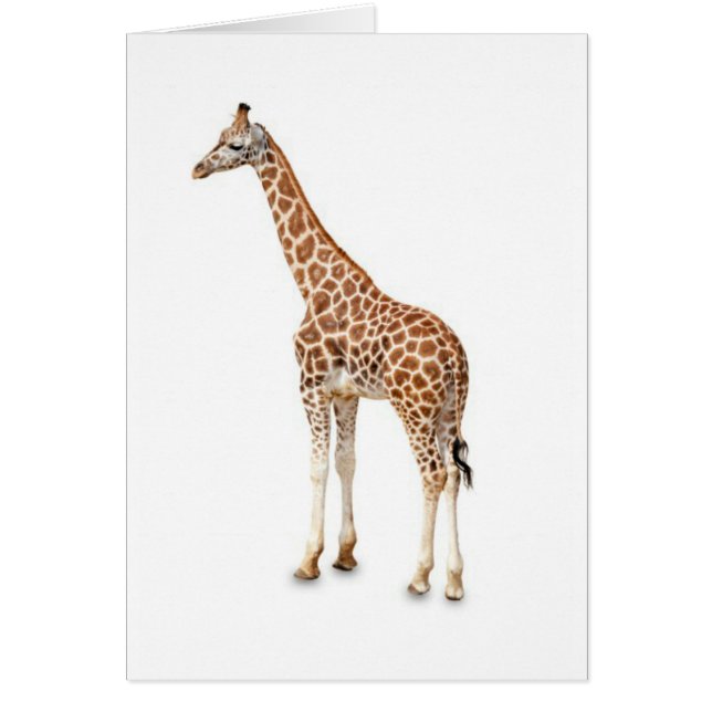 Cartão Long Neck Giraffe (Frente)