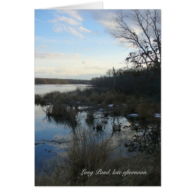 Cartão Long Pond à tarde (Frente)