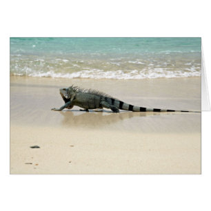 Cartão Longa caminhada na praia